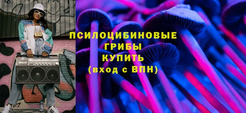 Галлюциногенные грибы Magic Shrooms  дарнет шоп  Данков 